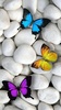 Butterfly Live Wallpaper screenshot 6