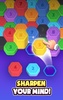 Hexa Sort: Color Puzzle Game screenshot 8