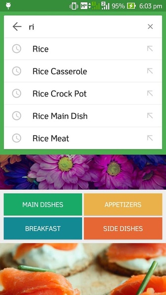 Low Calorie Recipes - Preview 13