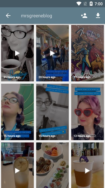 SnapStory Downloader - Preview 7