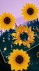 Sunflower screenshot 3