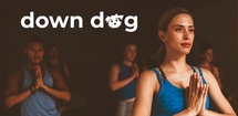 Yoga | Down Dog feature