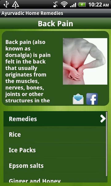 Ayurvedic Home Remedies - Preview 2
