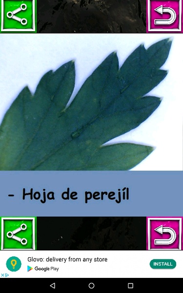 MICROSCOPIO USB FOTOS - Preview 6