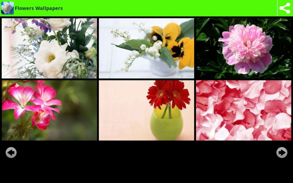 Flowers Wallpapers - Preview 5