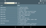 EN-RO Dictionary Free screenshot 1