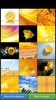 Brilliant Yellow Color HD Wallpapers screenshot 8