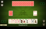 Card Games Bundle 11 in 1 screenshot 4