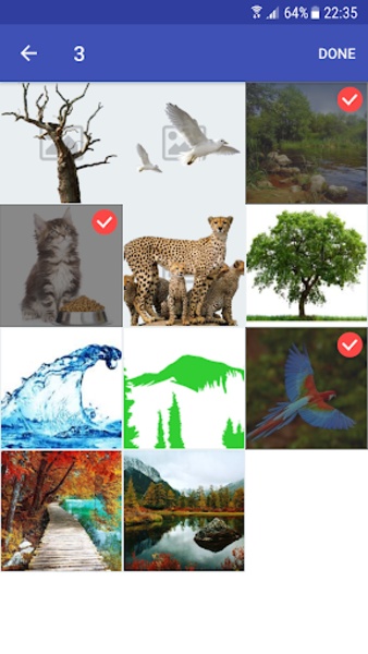 Image Converter Pro - Preview 11