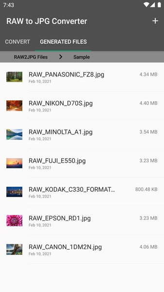 RAW to JPG Converter - Preview 1