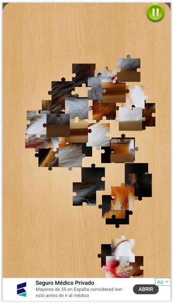 Cute Cats Jigsaw Puzzle - Preview 6