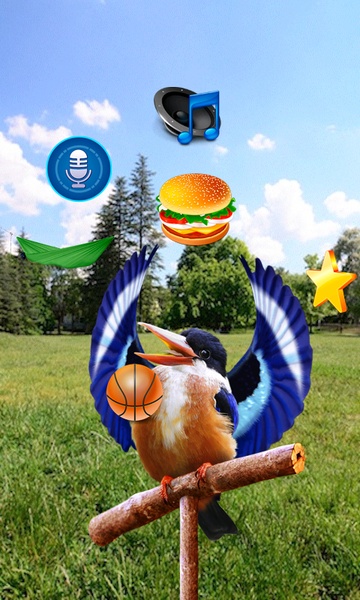 Real Talking Bird - Preview 3