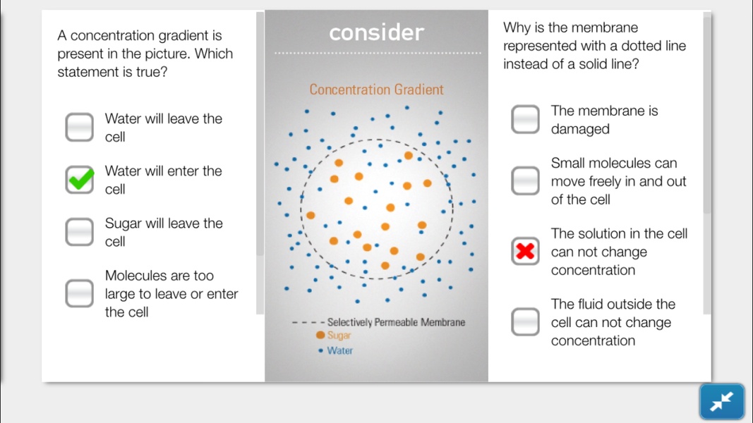 SPARKvue - Preview 8