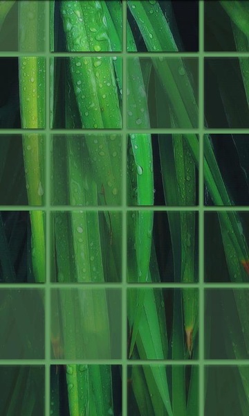 Photile - Preview 5