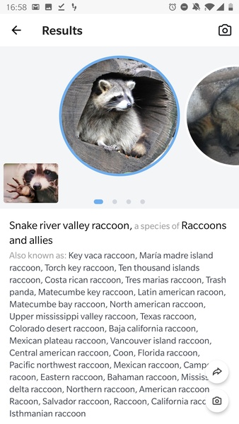 Picture Animal - Animal ID Pro - Preview 9