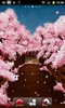 Sakura's Bridge Live Wallpaper screenshot 7