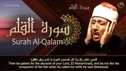 عبد الباسط عبد الصمد القرآن ال screenshot 8