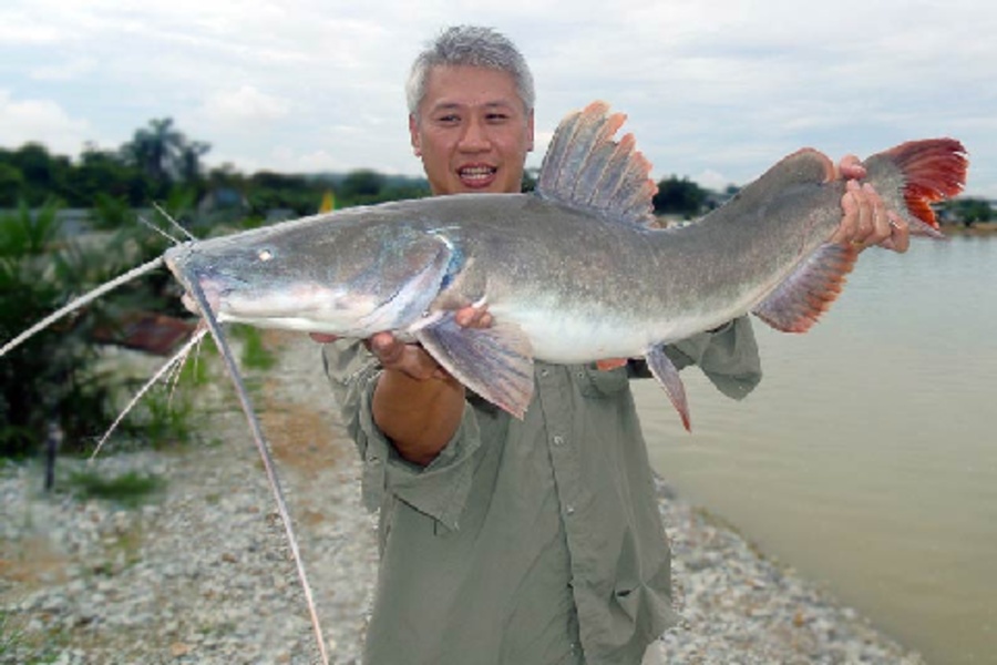 Crazy Fishing - Preview 2