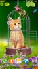 Cat and Hummingbirds Wallpaper screenshot 4