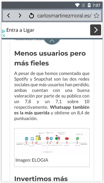 Internet Browser Mini 4.5G - Preview 7
