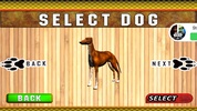 Dog Stunt Training 3D screenshot 4