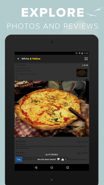 W&Y Pages - Preview 1