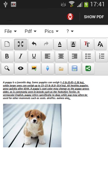 Doc maker - Preview 2
