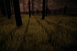 In The Woods screenshot 2