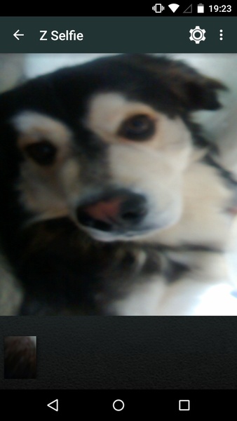 Z Selfie - Preview 1