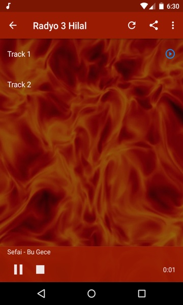 Turkey Radio Online - Preview 2