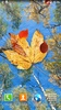Autumn Leaves Live Wallpaper screenshot 5