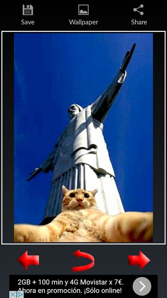 Funny Selfies - Preview 4