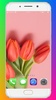 Tulip Wallpaper HD screenshot 2