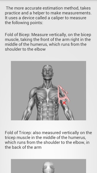 Body fat calculator - Preview 1