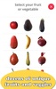 Fruit Draw screenshot 4