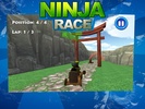 Ninja Race screenshot 1