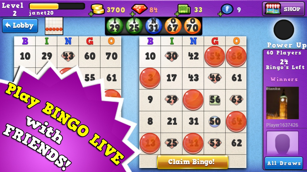 Bingo 2014 - Preview 4