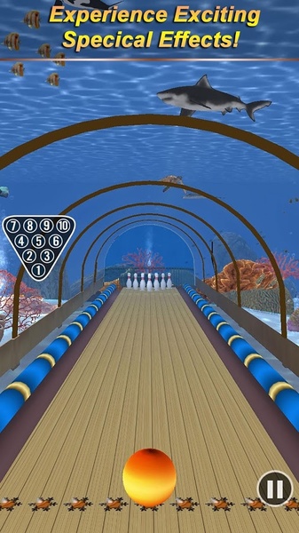 Bowling Paradise 3 - Preview 8