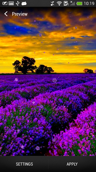 Lavender Live Wallpaper - Preview 4