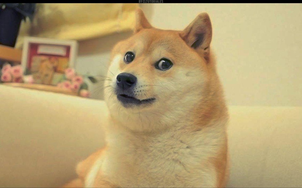 Doge Flashlight - Preview 4