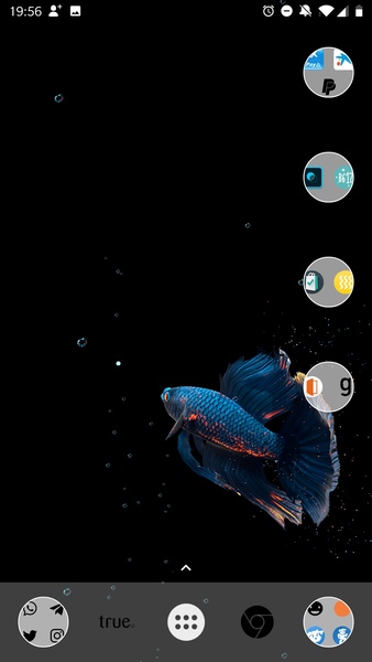 Betta Fish Live Wallpaper - Preview 6