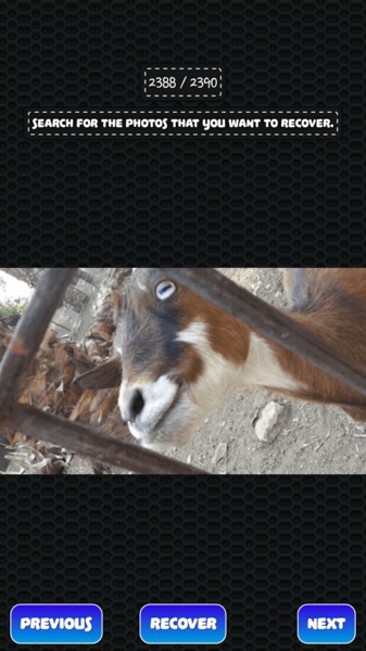 Photo Recovery - Preview 3
