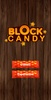 Block Candy screenshot 12