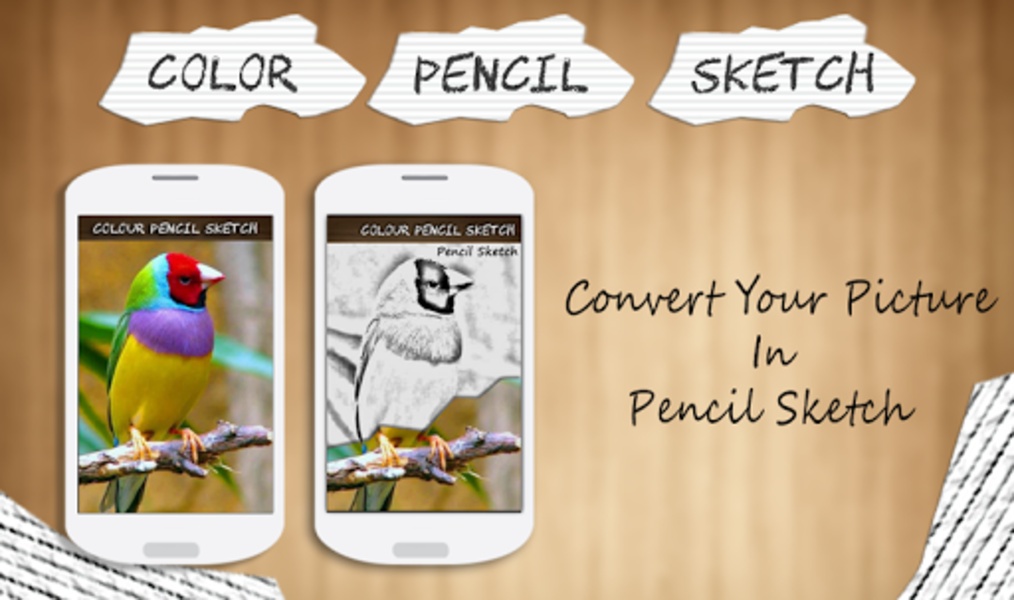 Color Pencil Sketch - Preview 5