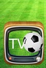 TV-Fotball screenshot 1