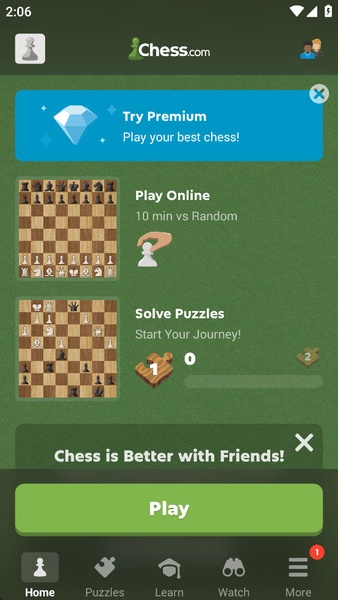 Chess - Play and Learn - Preview 8