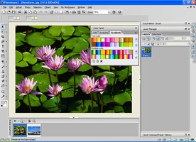 Ulead PhotoImpact 11.0 用 Windows - ダウンロード