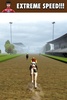 Equestrian Horse Racing Game screenshot 13