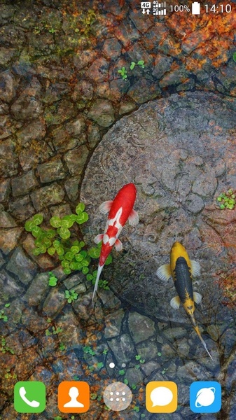 Water Garden - Preview 5