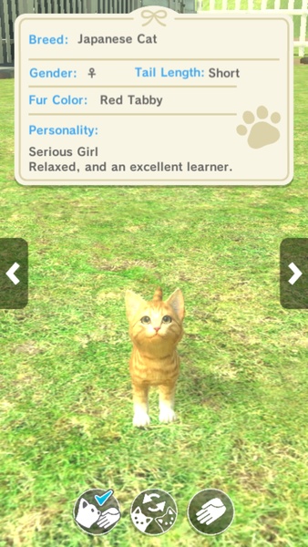 with My CAT - Preview 3